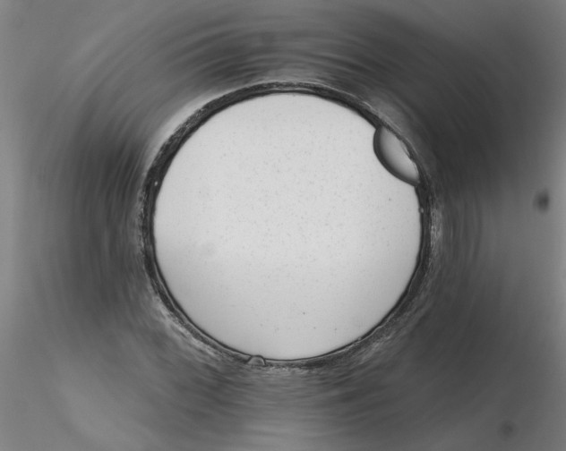 X0000116341068200912221436