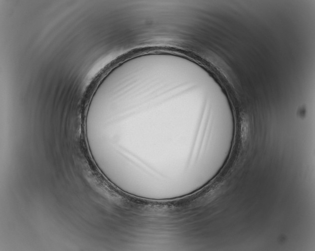 X0000116341069200912221436