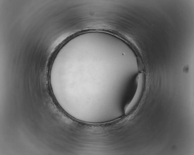 X0000116341071200912221436