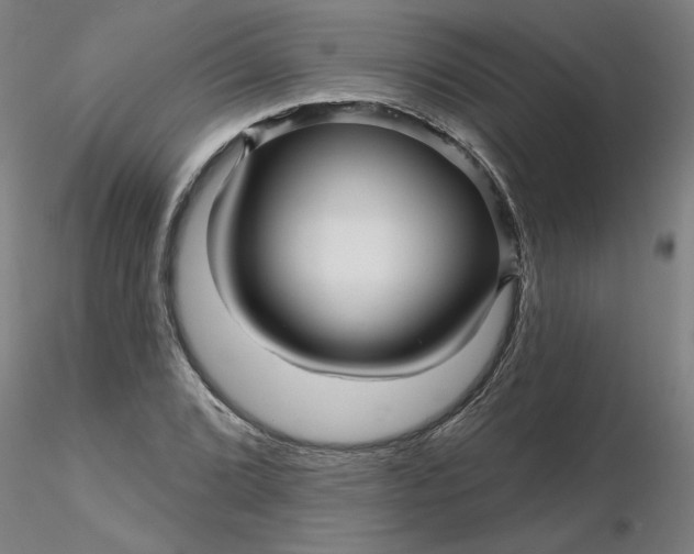 X0000116341072200912221436