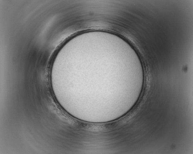 X0000116341074200912221436