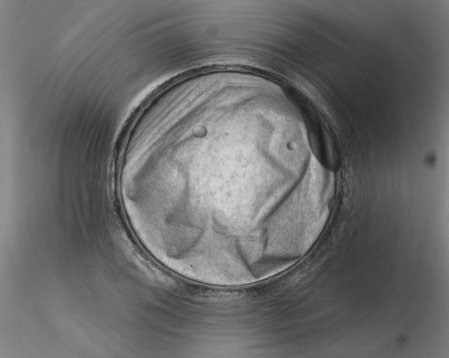 X0000116341076200912221436