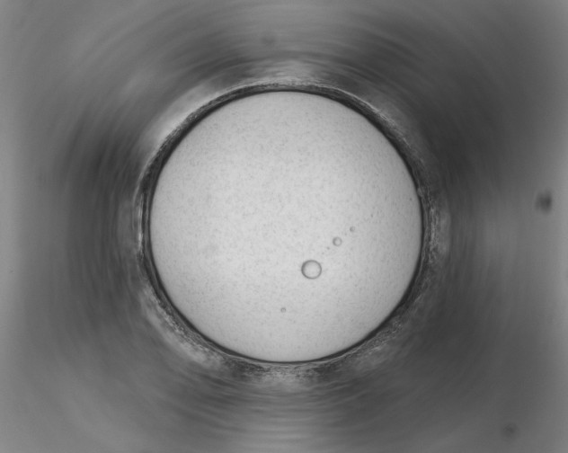 X0000116341078200912221436