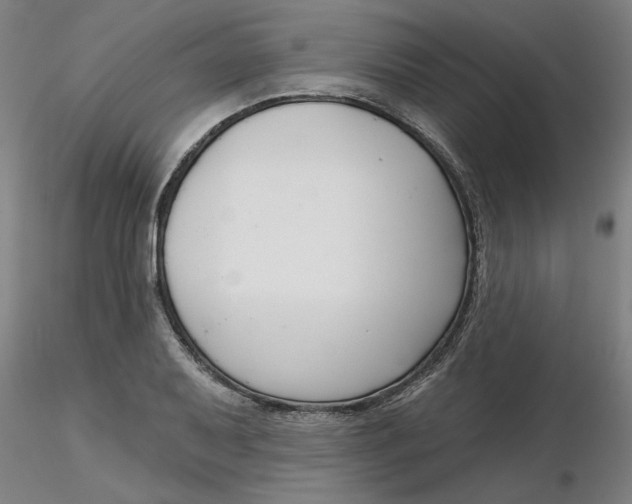 X0000116341079200912221436