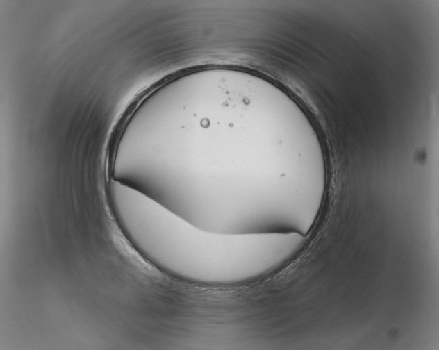 X0000116341080200912221436