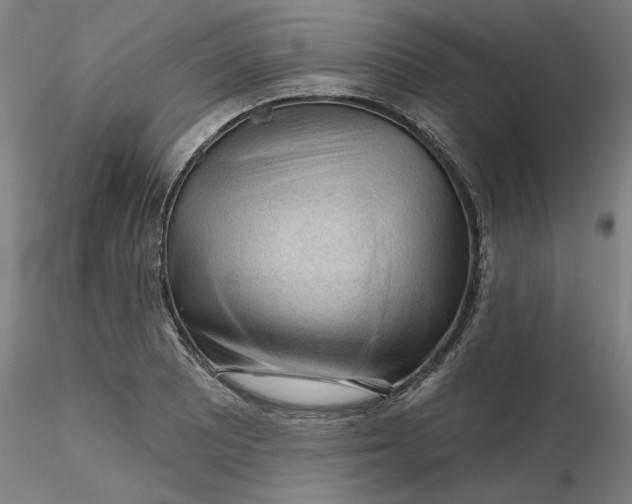 X0000116341081200912221436