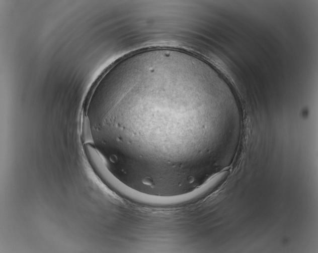 X0000116341084200912221436