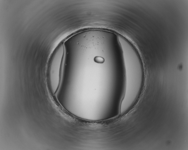 X0000116341085200912221436