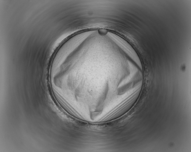 X0000116341086200912221436