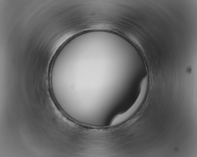 X0000116341087200912221436