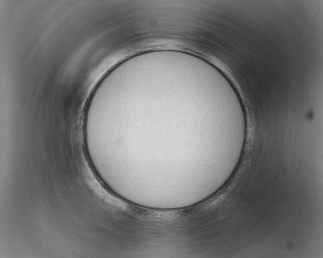 X0000116341090200912221436