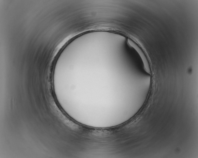 X0000116341091200912221436