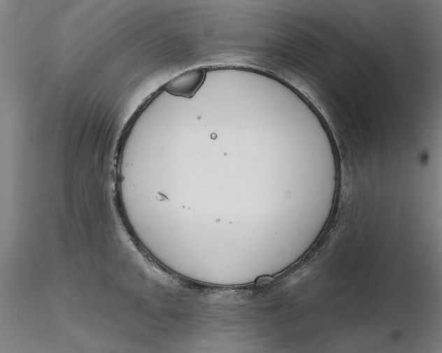 X0000116341093200912221436