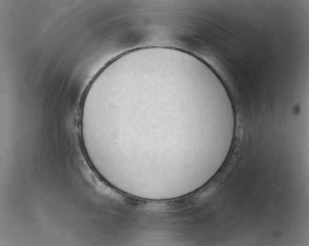 X0000116341094200912221436