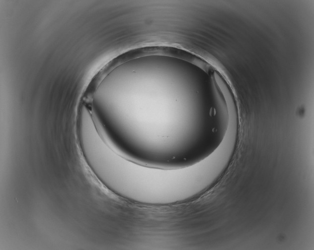 X0000116341096200912221436