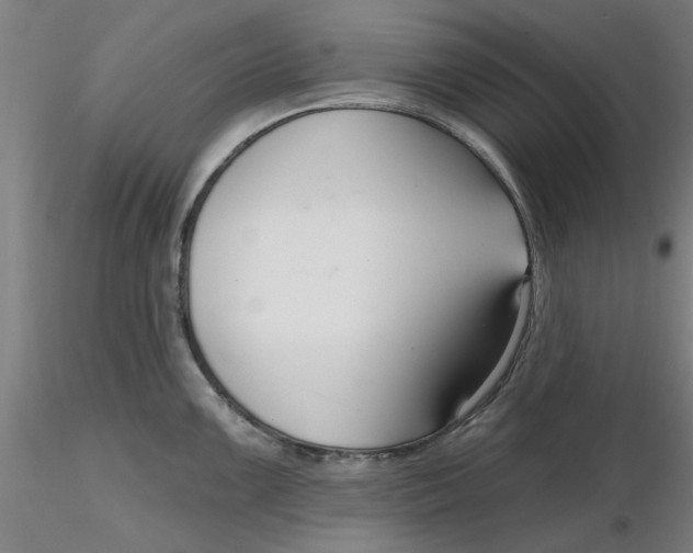 X0000116341099200912221436