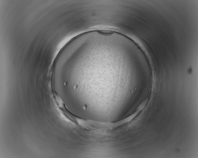 X0000116341102200912221436