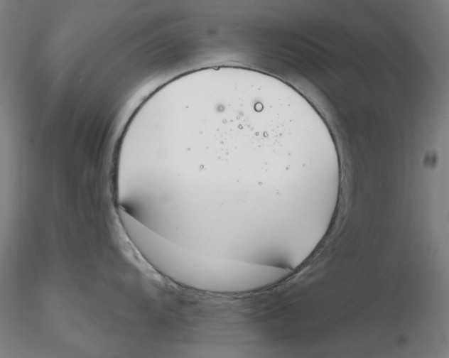 X0000116341104200912221436