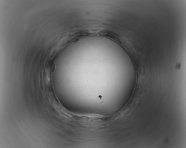 X0000116341106200912221435