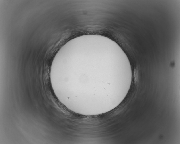 X0000116341107200912221435