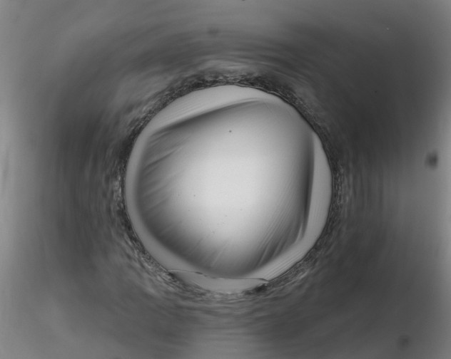 X0000116341109200912221435