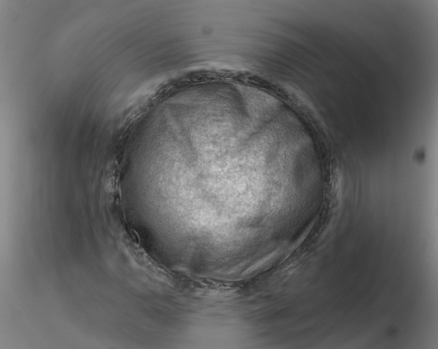 X0000116341110200912221435