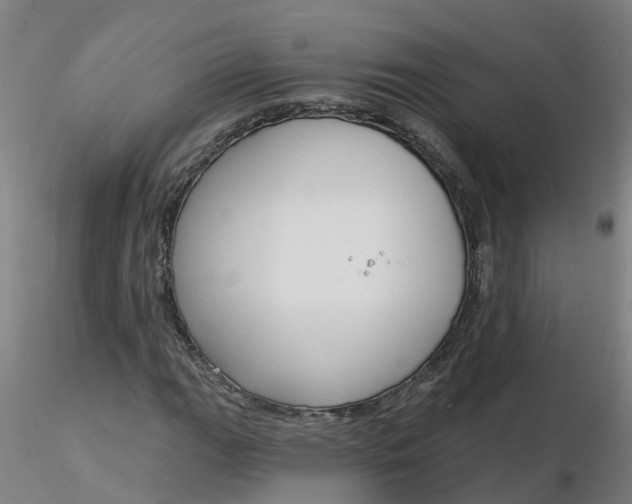 X0000116341111200912221435