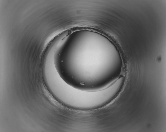 X0000116341114200912221435