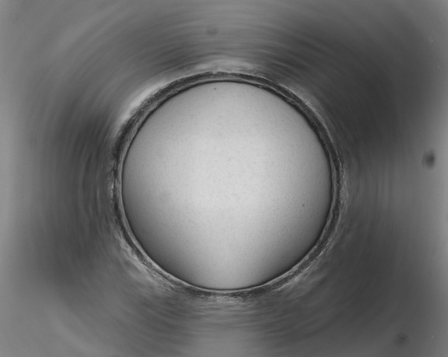 X0000116341115200912221435