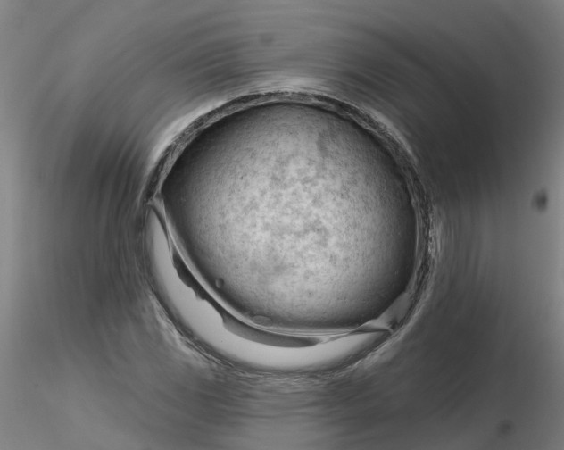 X0000116341117200912221435