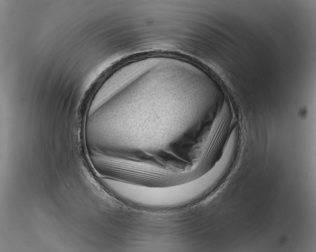 X0000116341118200912221435