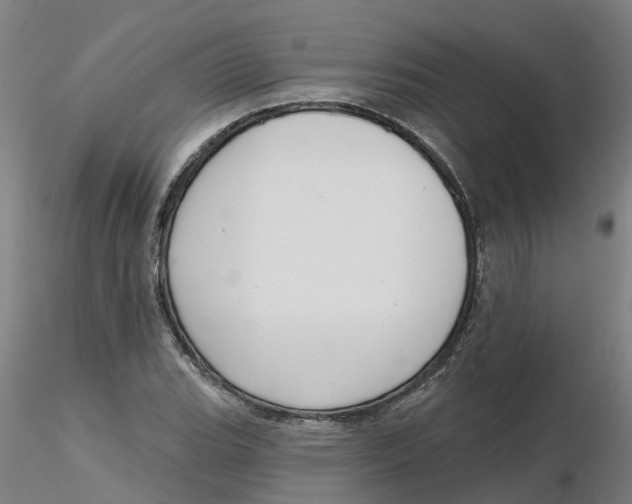 X0000116341119200912221435