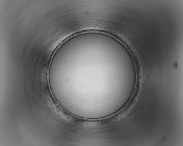 X0000116341121200912221435