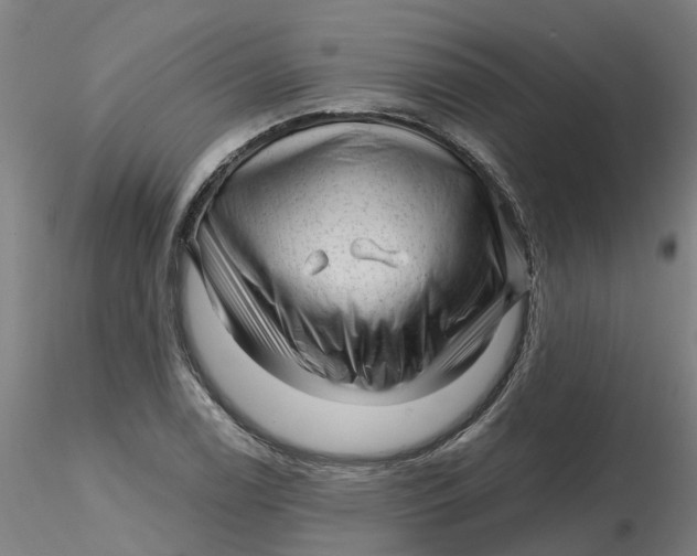 X0000116341122200912221435