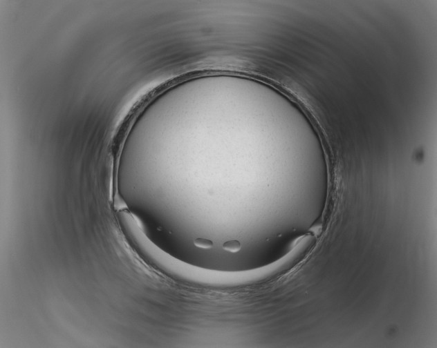 X0000116341123200912221435