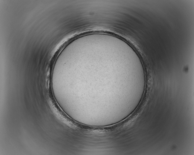 X0000116341126200912221435