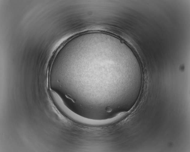 X0000116341127200912221435