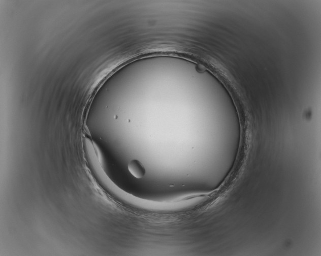 X0000116341129200912221435