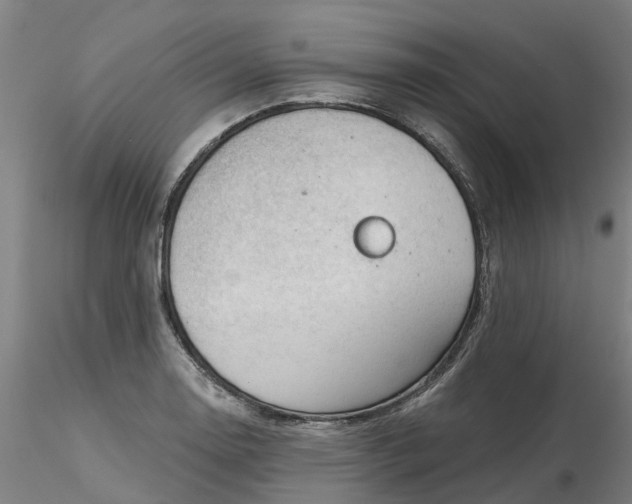 X0000116341130200912221435