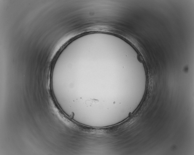 X0000116341131200912221435