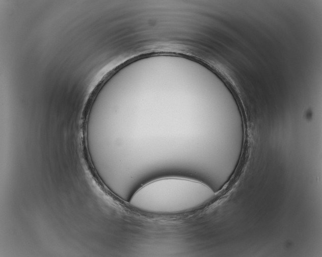 X0000116341133200912221435