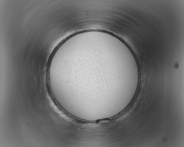 X0000116341134200912221435