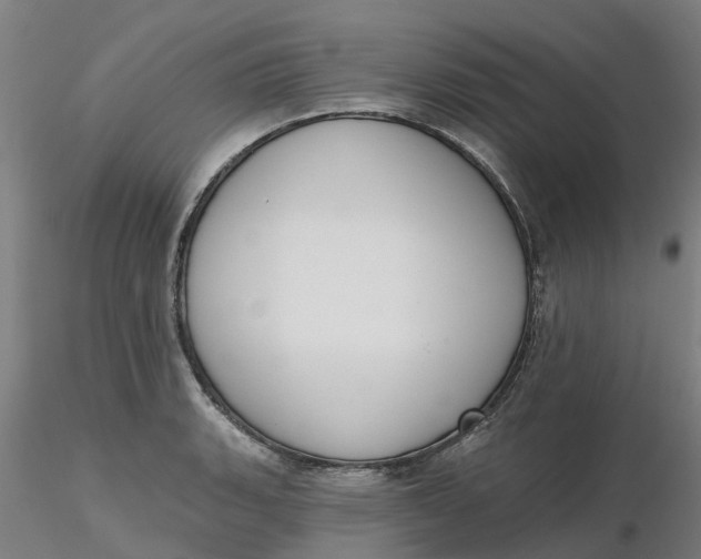 X0000116341135200912221435