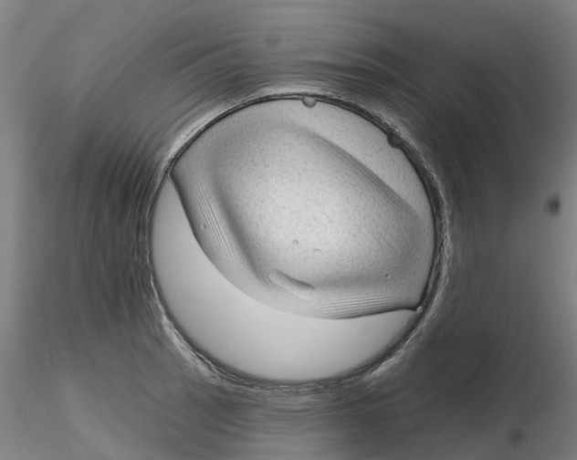 X0000116341137200912221435