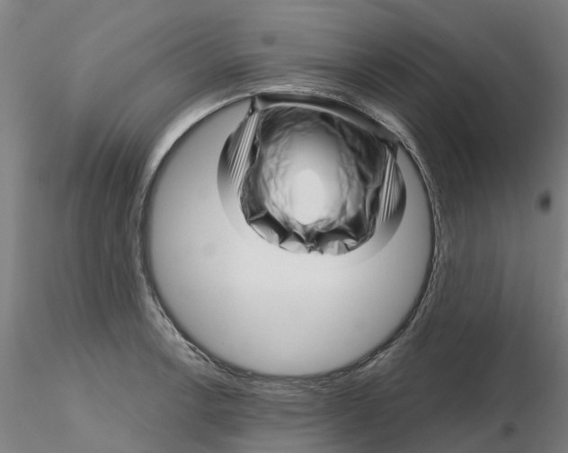 X0000116341138200912221435