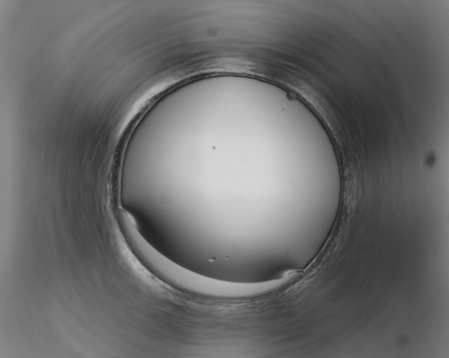 X0000116341139200912221435