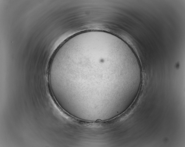 X0000116341141200912221435