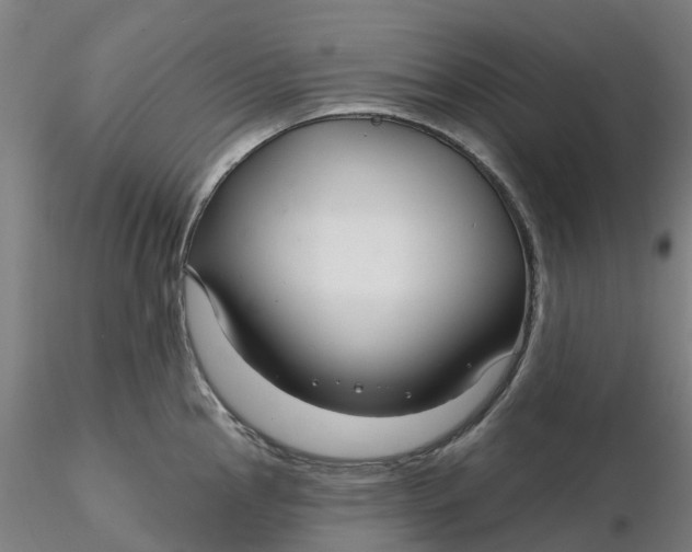 X0000116341145200912221435