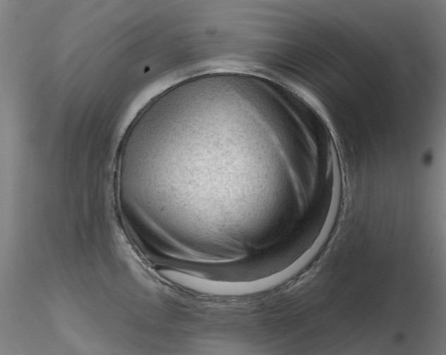 X0000116341146200912221435