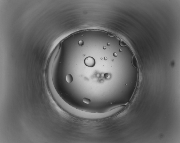 X0000116341149200912221435